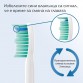 Philips Sonicare Стандартна глава C1 ProResults (8бр./оп.) HX6018/07